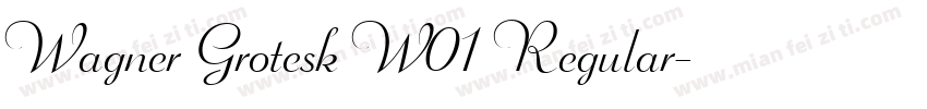 Wagner Grotesk W01 Regular字体转换